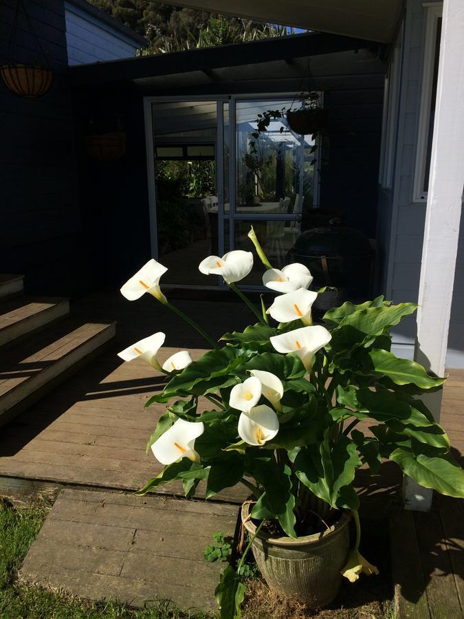 Nightingale Falls Farm Stay Retreat Thames Exterior foto